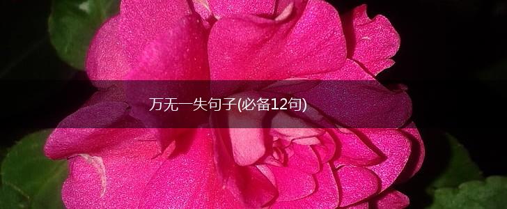 万无一失句子(必备12句),第1张