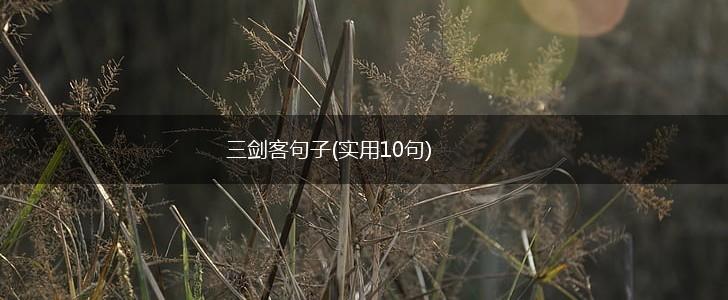 三剑客句子(实用10句),第1张
