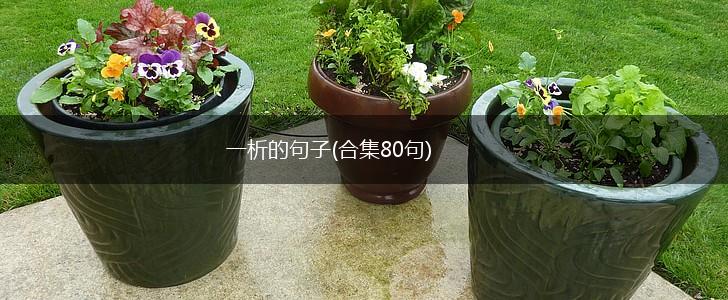 一析的句子(合集80句),第1张