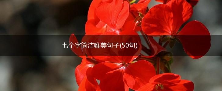 七个字简洁唯美句子(50句),第1张