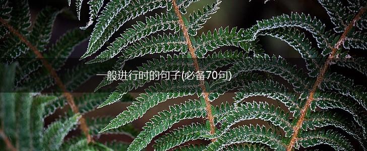 一般进行时的句子(必备70句),第1张