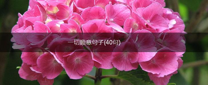 一切顺意句子(40句),第1张
