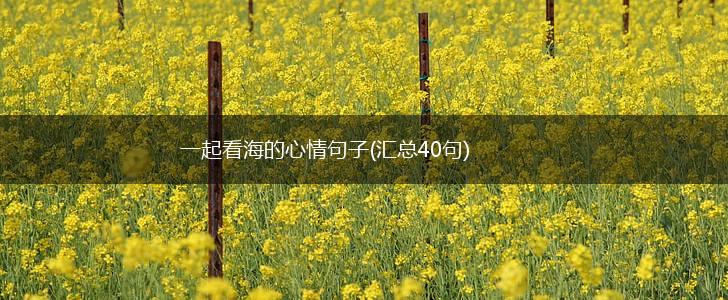 一起看海的心情句子(汇总40句),第1张
