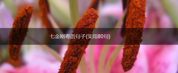 七金刚粤语句子(实用80句),第1张