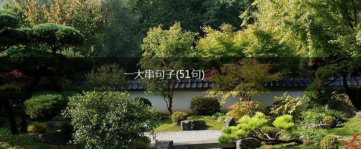 一大串句子(51句),第1张