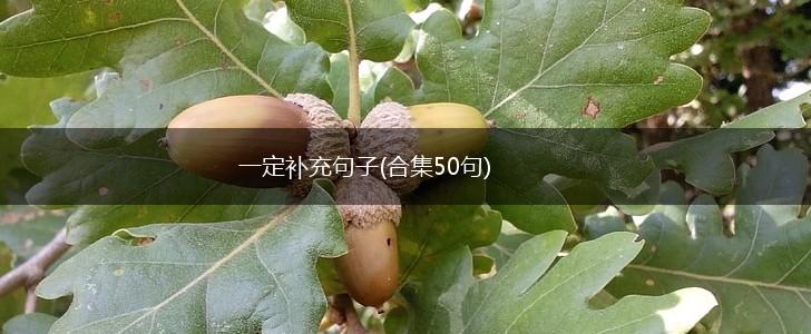 一定补充句子(合集50句),第1张