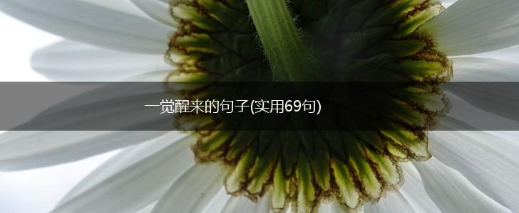 一觉醒来的句子(实用69句),第1张