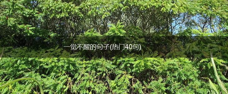 一觉不醒的句子(热门40句),第1张
