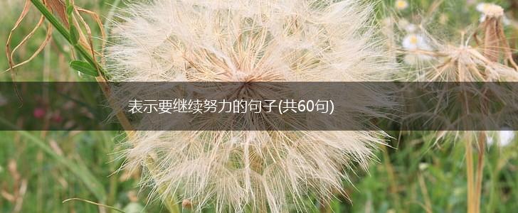 表示要继续努力的句子(共60句),第1张