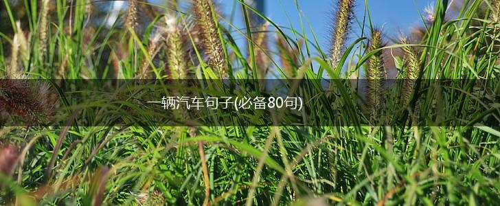 一辆汽车句子(必备80句),第1张