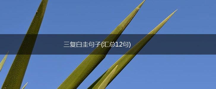 三复白圭句子(汇总12句),第1张