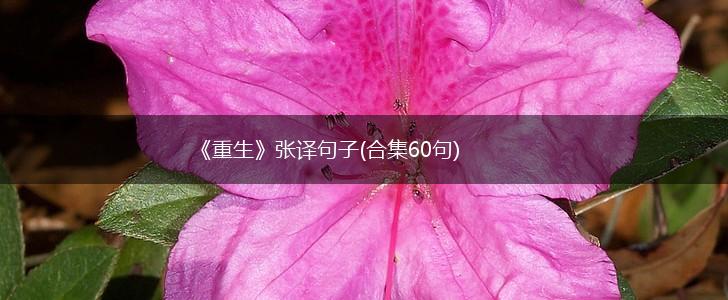 《重生》张译句子(合集60句),第1张