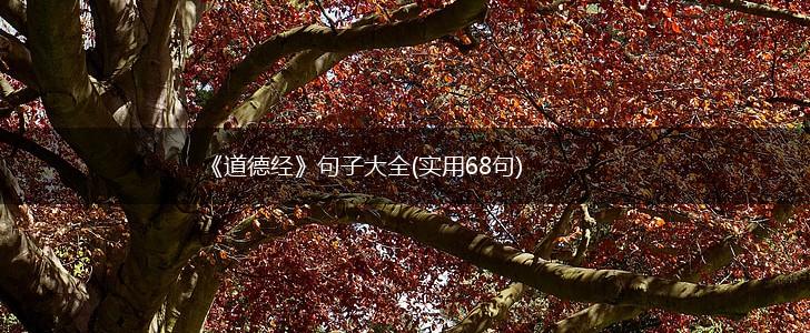《道德经》句子大全(实用68句),第1张