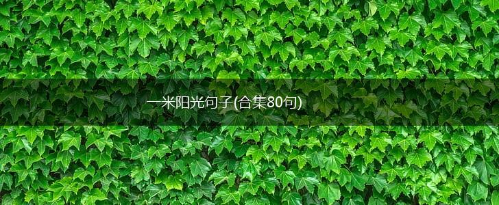 一米阳光句子(合集80句),第1张