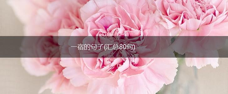 一宿的句子(汇总80句),第1张