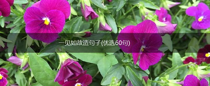 一见如故造句子(优选60句),第1张