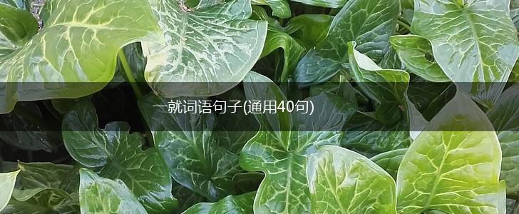 一就词语句子(通用40句),第1张