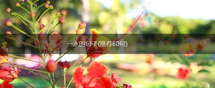 一永的句子(推荐60句),第1张