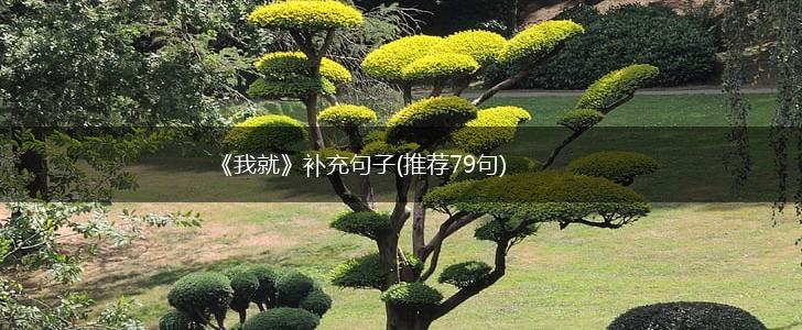 《我就》补充句子(推荐79句),第1张