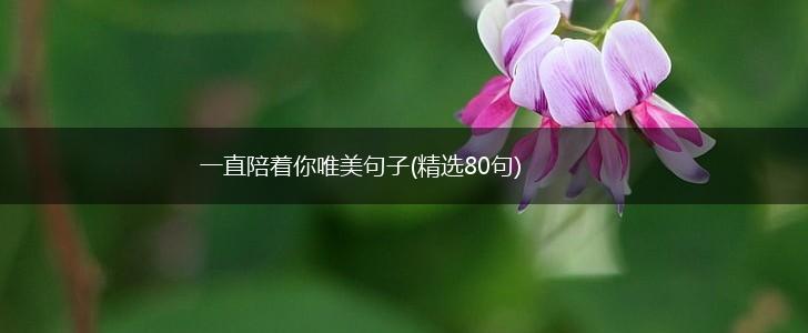 一直陪着你唯美句子(精选80句),第1张