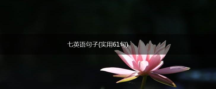 七英语句子(实用61句),第1张