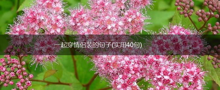 一起穿情侣装的句子(实用40句),第1张