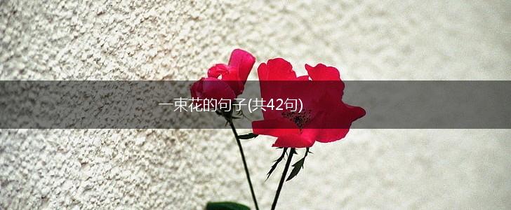 一束花的句子(共42句),第1张