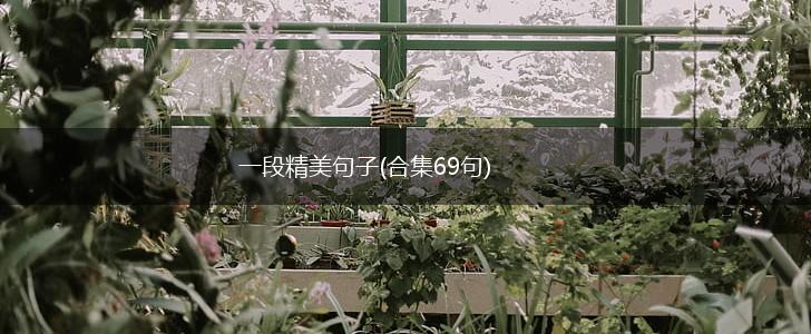 一段精美句子(合集69句),第1张