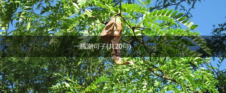 一线潮句子(共20句),第1张