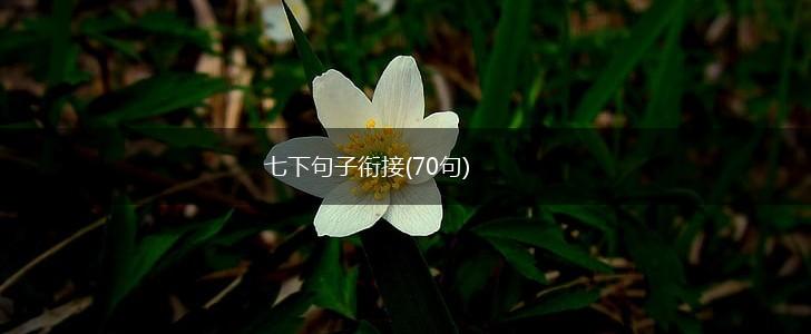 七下句子衔接(70句),第1张