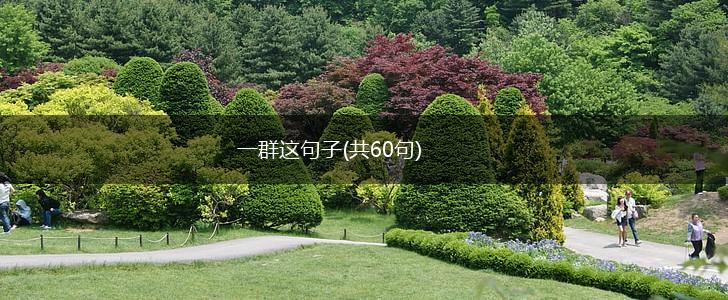 一群这句子(共60句),第1张