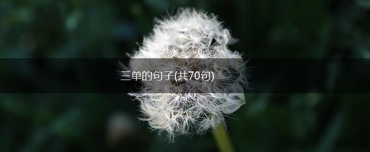 三单的句子(共70句),第1张