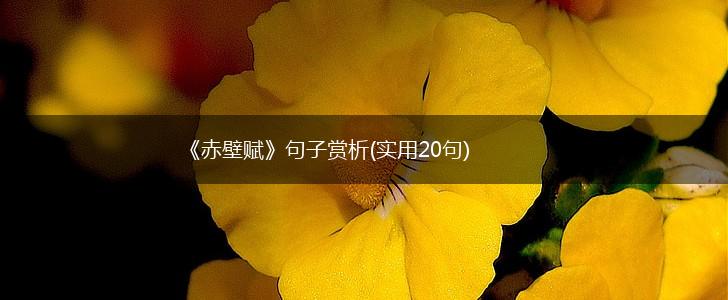 《赤壁赋》句子赏析(实用20句),第1张