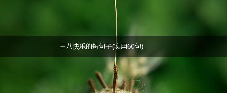 三八快乐的短句子(实用60句),第1张