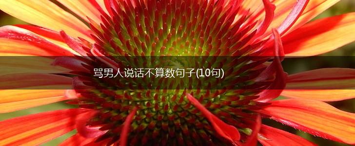 骂男人说话不算数句子(10句),第1张