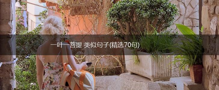 一叶一菩提 类似句子(精选70句),第1张