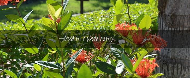 一答就句子(必备79句),第1张