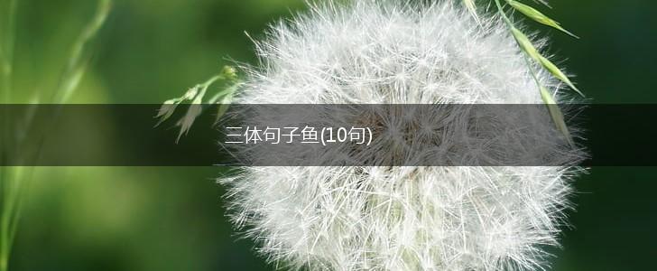 三体句子鱼(10句),第1张