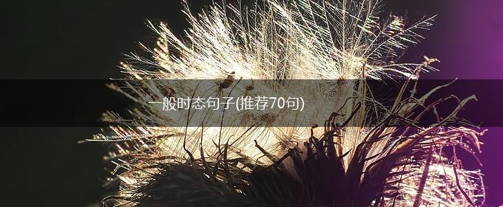 一般时态句子(推荐70句),第1张