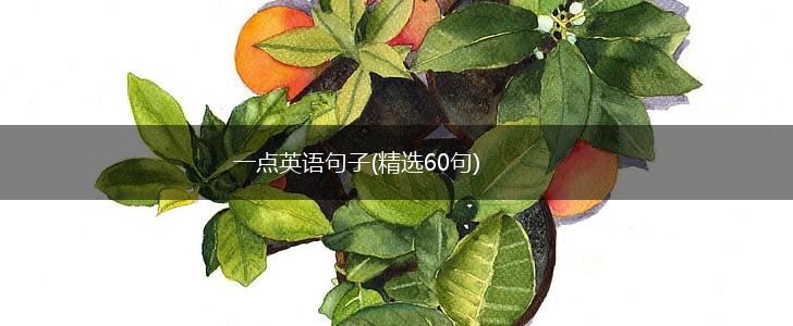 一点英语句子(精选60句),第1张