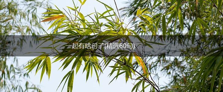 一起有啥句子(精选60句),第1张