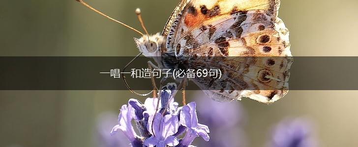 一唱一和造句子(必备69句),第1张