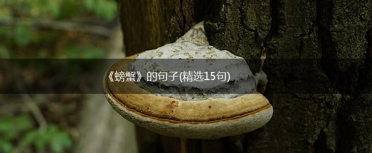 《螃蟹》的句子(精选15句),第1张