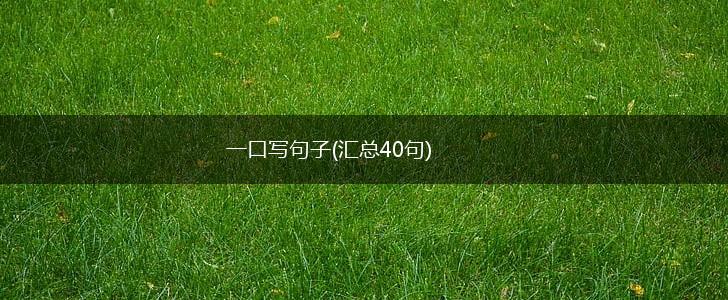 一口写句子(汇总40句),第1张