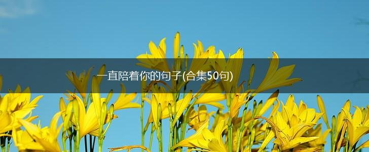 一直陪着你的句子(合集50句),第1张