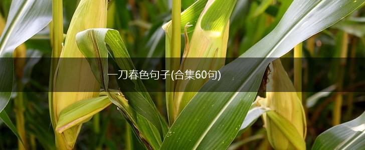 一刀春色句子(合集60句),第1张