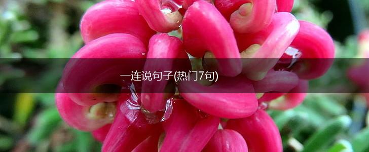 一连说句子(热门7句),第1张
