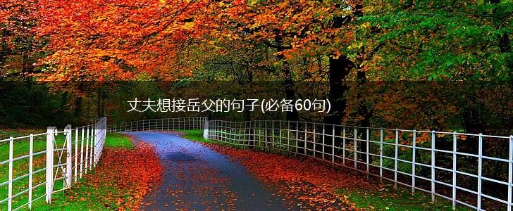丈夫想接岳父的句子(必备60句),第1张
