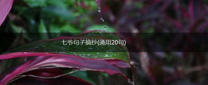 七爷句子摘抄(通用20句),第1张