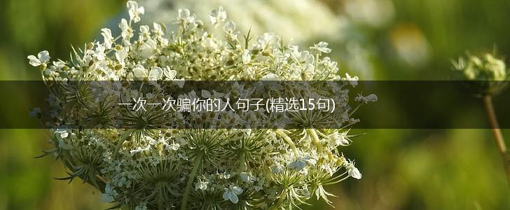 一次一次骗你的人句子(精选15句),第1张